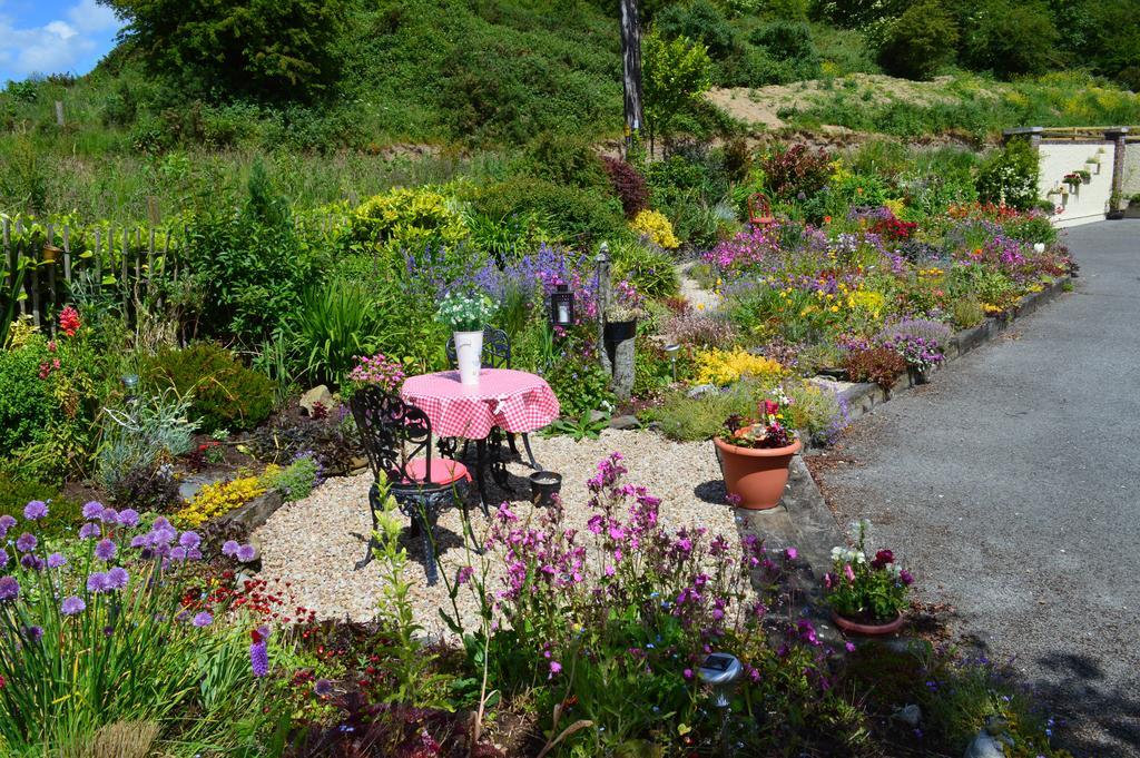 Ballymore Eustace Tinnycross House B&B المظهر الخارجي الصورة