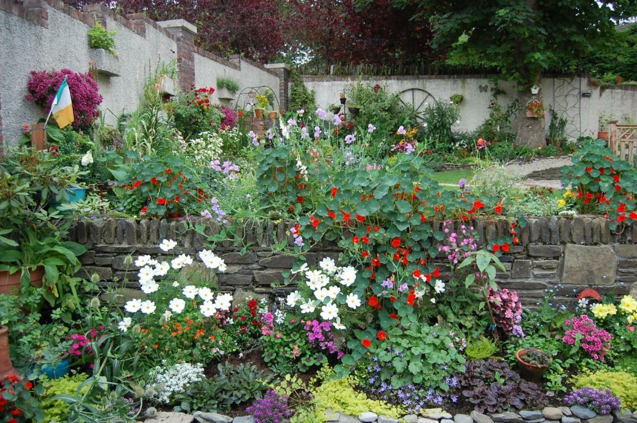 Ballymore Eustace Tinnycross House B&B المظهر الخارجي الصورة